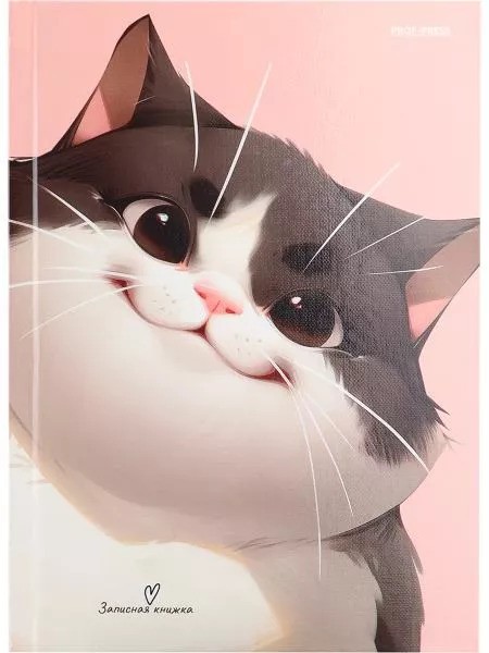 Записная книжка - Котомяу делюкс
