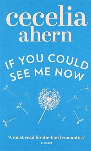 If you could See Me Now