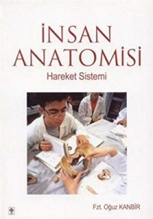 İnsan Anatomisi