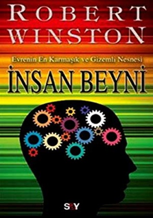 İnsan Beyni