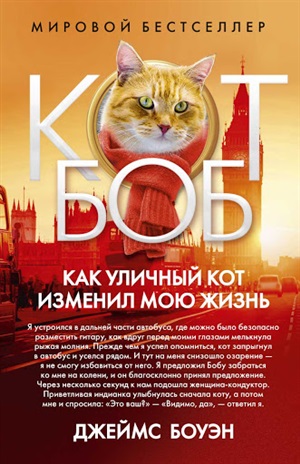Как уличный кот изменил мою жизнь