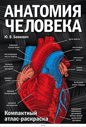 Анатомия человека: компактный атлас-раскраска