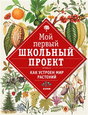 Мой первый школьный проект. Как устроен мир растений