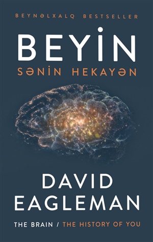 Beyin