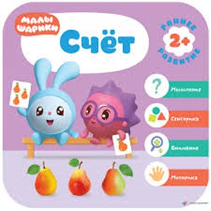 Курс раннего развития 2+. Счет