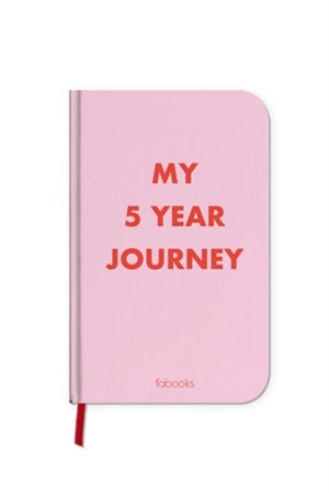 Fabooks / One Line a Day My 5 Year Journey / Defter