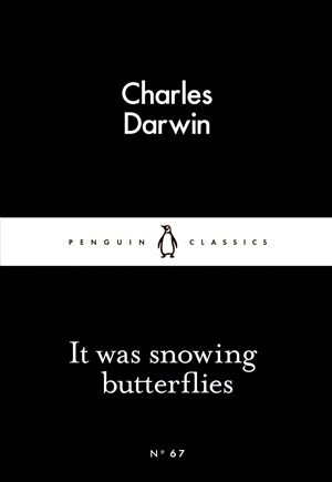 It Was Snowing Butterflies