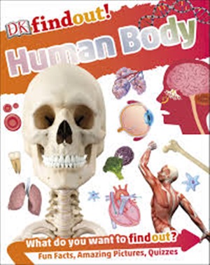 Human Body