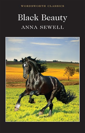 Black Beauty A