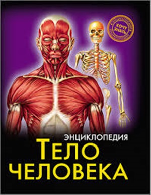 ЭНЦИКЛОПЕДИЯ. ХОЧУ ЗНАТЬ. ТЕЛО ЧЕЛОВЕКА