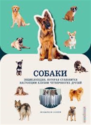 Собаки