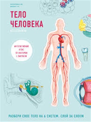 Тело человека. Интерактивный атлас по анатомии с вырубкой. Разбери свое тело на 6 систем. Слой за слоем