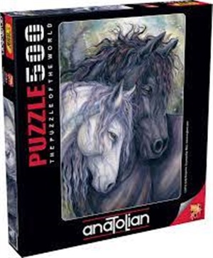 PuzzleEE _ 3587 RUH İKİZİ 500pcs PUZZLE / Anatolian