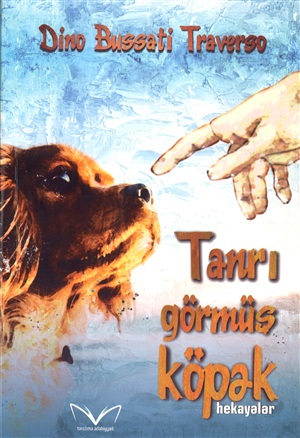 Tanrı görmüş köpək