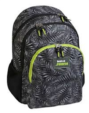 Double Compartment School Backpack