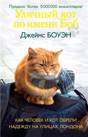 Уличный кот по имени Боб. Как человек и кот обрели надежду на улицах Лондона