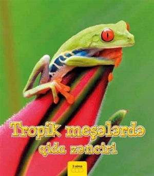 Tropik meşələrdə qida zənciri