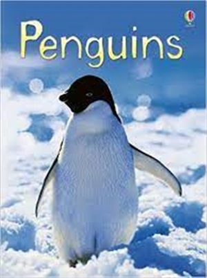 BEGINNERS PENGUINS