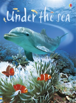 UNDER THE SEA BEGINNERS