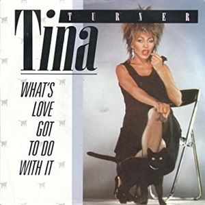 Tina Turner - What's Love Got To Do With It 7