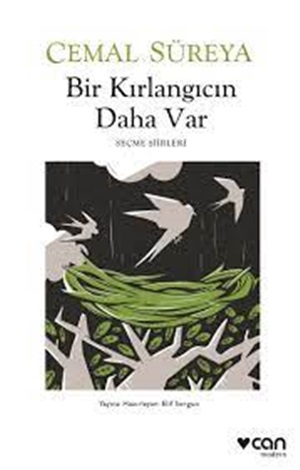 Bir Kırlangıcın Daha Var_ Cemal Süreya