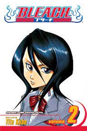 BLEACH 02 PA