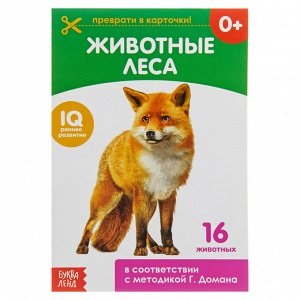 Животные леса