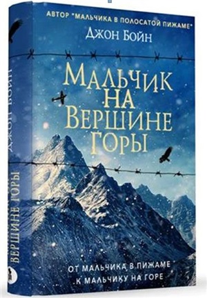 Мальчик на вершине горы: роман