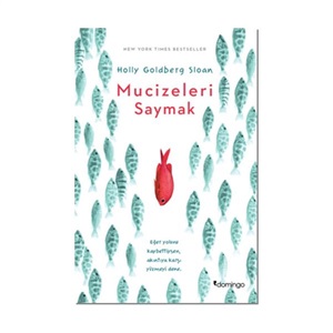 Mucizeleri Saymak