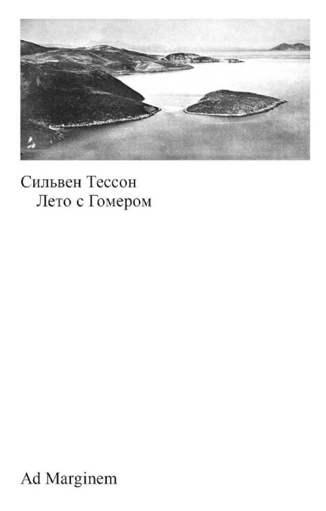 Лето с Гомером