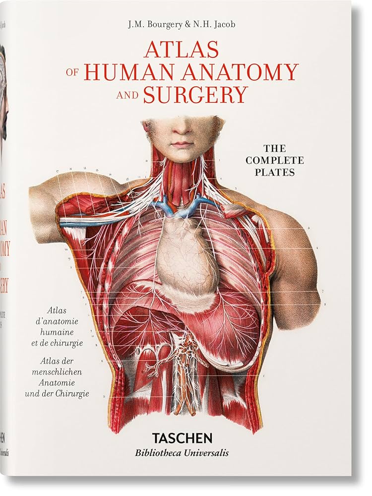 Atlas Of Human Anatomy And Surgery