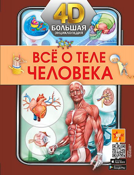 Всё о теле человека