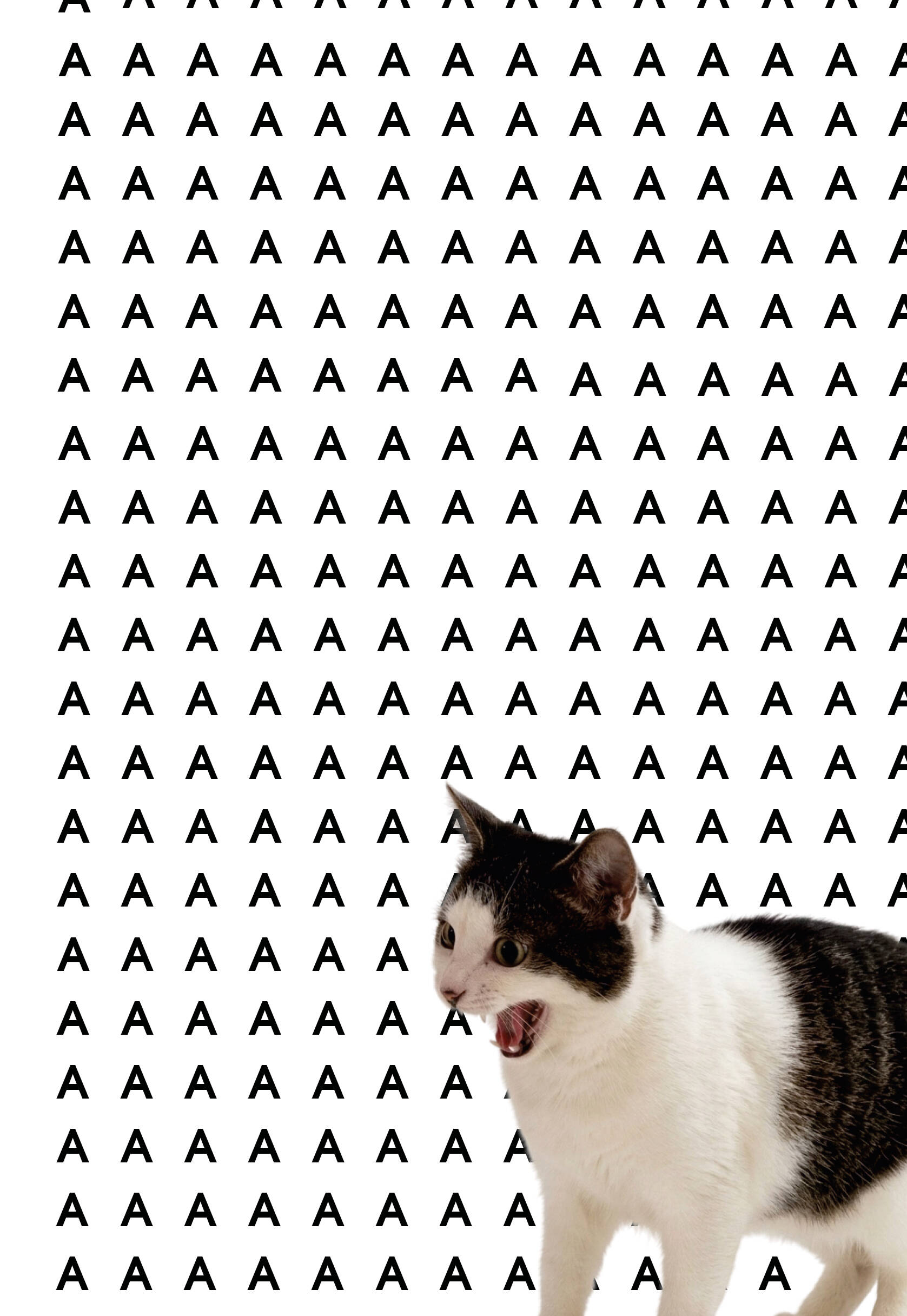 Уставший кот