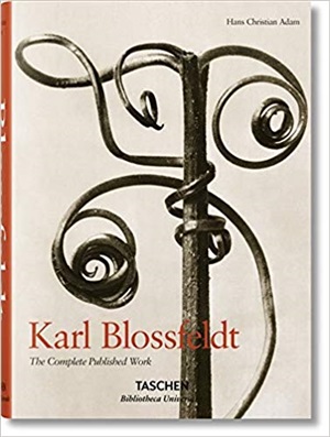 Blossfeldt