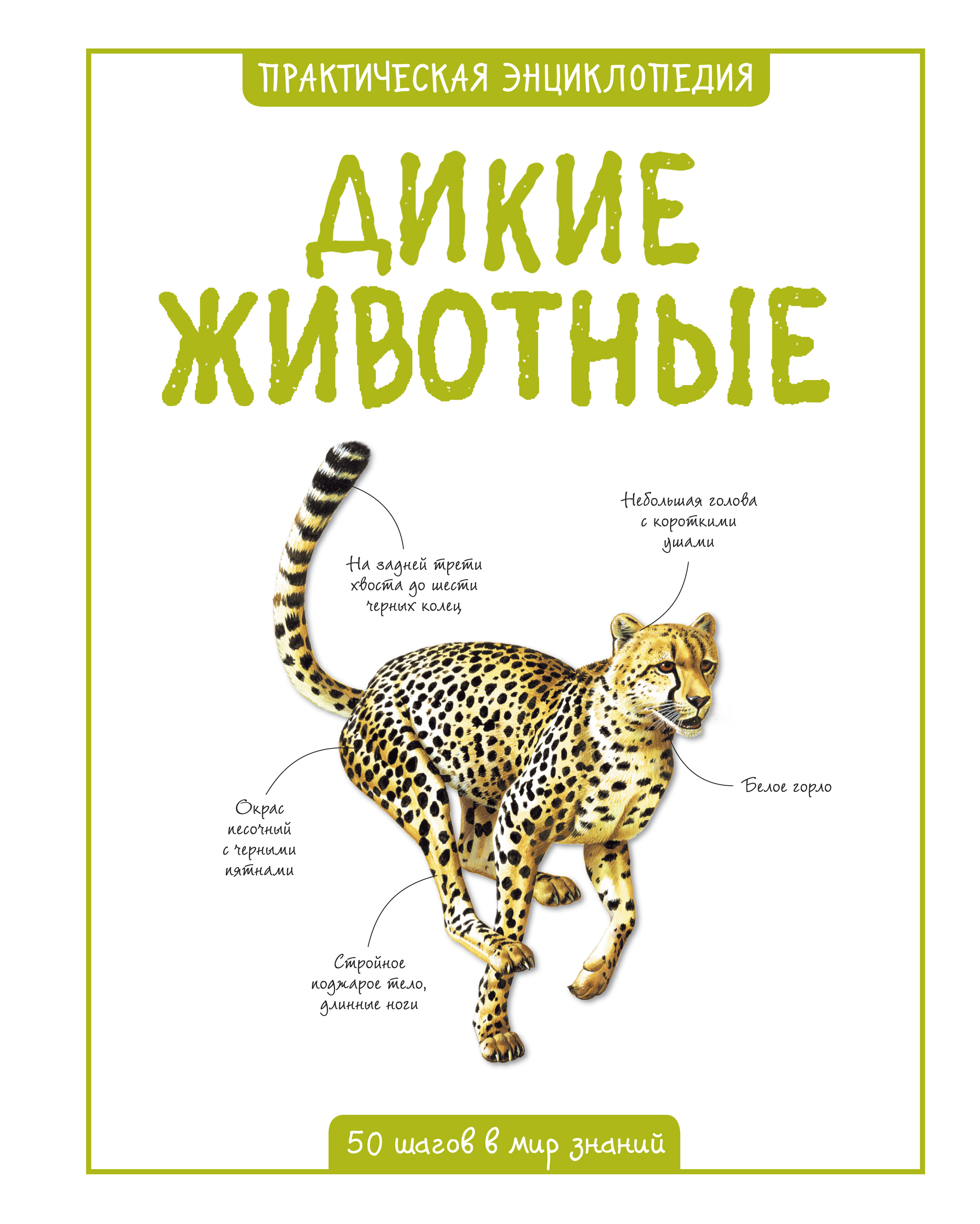 Дикие животные