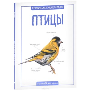 Птицы