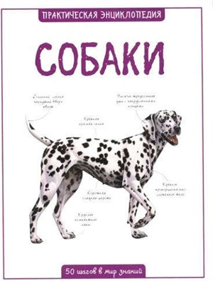 Собаки