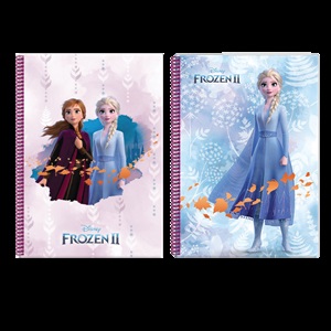 KESKİN 380662 FROZEN II A5 80YP KAR.SPR.KARTON KA