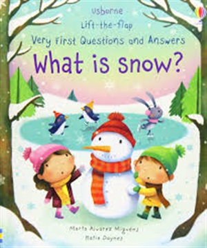 VERY FIRST Q&A WHAT IS SNOW?