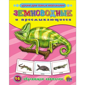 ОБУЧАЮЩИЕ КАРТОЧКИ. ЗЕМНОВОДНЫЕ И ПРЕСМЫКАЮЩИЕСЯ