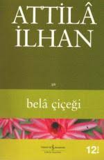 Bela çiçeği