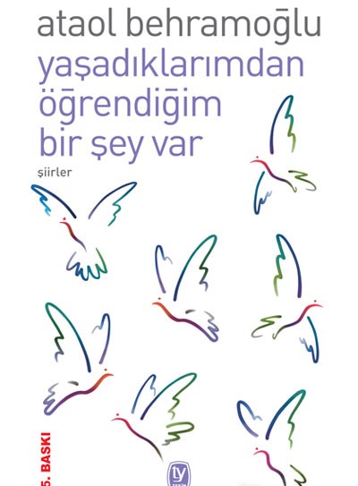 YAŞADIKLARIMDAN ÖĞRENDİĞİM BİR ŞEY VAR