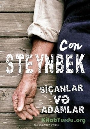 Siçanlar və adamlar