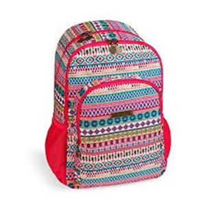 Double School Backpack