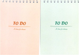 TO DO planer
