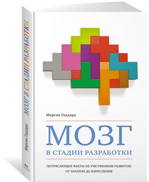 Мозг в стадии разработки. Потрясающие факты об умственном развитии от зачатия до взросления