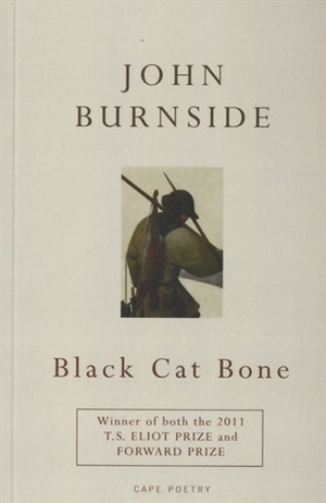 Black Cat Bone