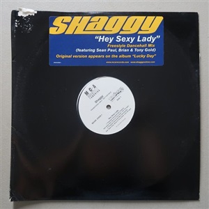 Shaggy - Hey Sexy Lady 12