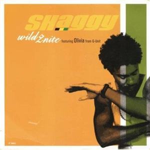 Shaggy - Wild 2nite 12