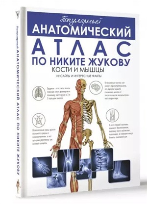 Популярный анатомический атлас по Никите Жукову: кости и мышцы. Инсайты и интересные факты